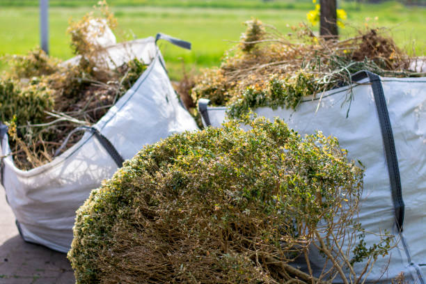 Best Furniture Removal Near Me  in Fairhope, AL